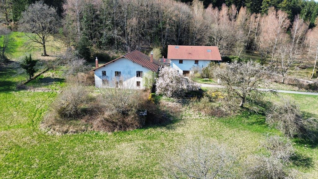 Image - Propriété - REMIREMONT annonce immobilière du mois